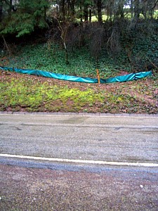 Krötenzaun mit der bösen Straße davor