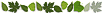 �berraschung an der Pforte - Stechpalme